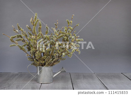 Spring bouquet. Spring. Blooming willow and garden tools. Allergy. Gardening. Easter. 111415833