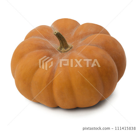 large ripe pumpkin isolated. pumpkin fruit. Autumn season. Halloween decor. 111415838