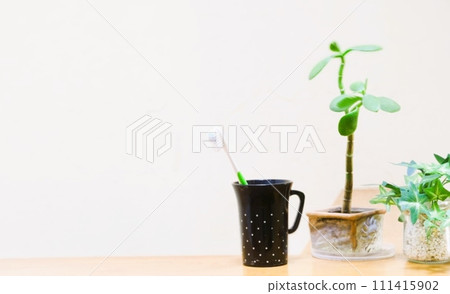 Mini plant “Money Tree”, fake plant “Ivy”, and toothbrush 111415902