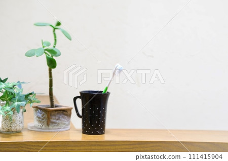 迷你植物「金錢樹」、假植物「常春藤」和牙刷 111415904