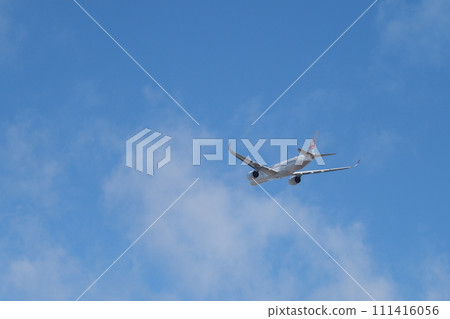 Airplane immediately after takeoff 111416056