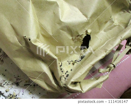 水稻鼠害 111416147