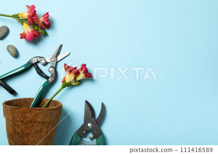 Garden supplies, flowers and stones on blue background, space for text 111416589