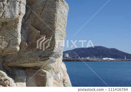 通往海岸的路 通往海岸的路 111416784