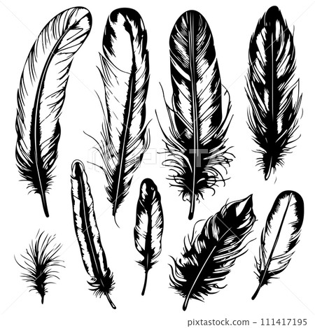 set Hand drawn black fluffy feathers. Vector black and white illustration in sketch form. set Hand drawn black fluffy feathers. Vector black and white illustration in sketch form. 111417195