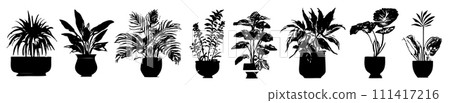 Collection silhouettes houseplants. Potted plants isolated on white. Set green Collection silhouettes houseplants. Potted plants isolated on white. Set green 111417216