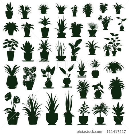 Houseplants. Vector set silhouettes home plants, succulents in pot. Indoor 111417217