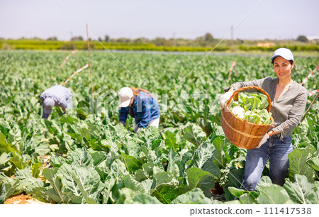 Happy female farmer holding basket with cauliflower harvest in her hands 111417538