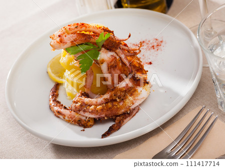 Seafood lunch. Tasty fried squid or octopus tentacles closeup Seafood lunch. Tasty fried squid or octopus tentacles closeup 111417714