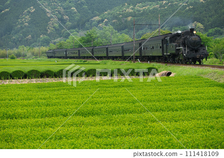 Oigawa Railway C10 Oigawa Railway C10 111418109