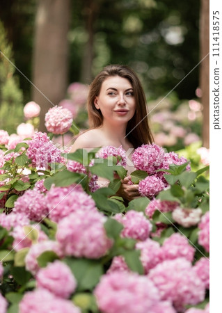 Hydrangeas Happy woman in pink dress amid hydrangeas. Large pink hydrangea caps surround woman. Sunny outdoor setting. Showcasing happy woman amid hydrangea bloom. 111418575