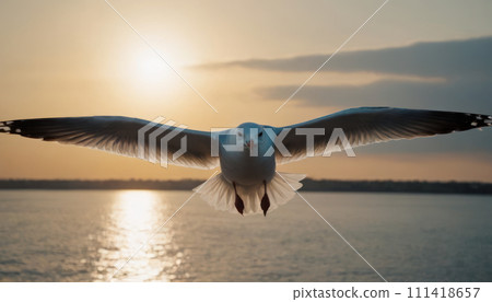 AI-generated content. Flying seagull at sunset. Close up photo. 111418657