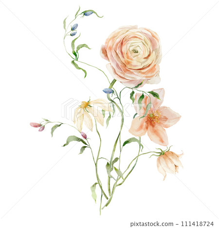 Watercolor bouquet of chamomile, ranunculus and leaves. Hand painted card of floral elements isolated on white background. Holiday flowers Illustration for design, print, fabric, background. 111418724