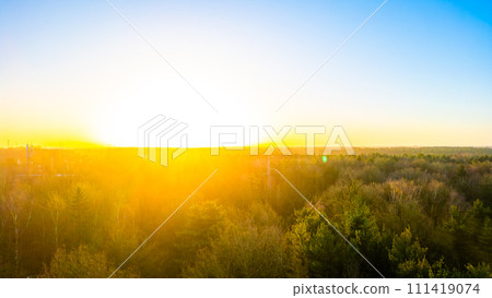 Dawn's Early Light Over the Forest Expanse 111419074