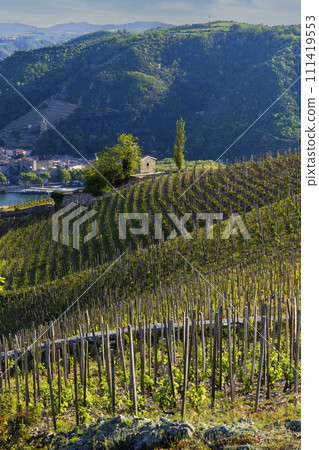 Grand cru vineyard and Chapel of Saint Christopher, Tain l'Hermitage, Rhone-Alpes, France Grand cru vineyard and Chapel of Saint Christopher, Tain l'Hermitage, Rhone-Alpes, France 111419553