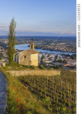 Grand cru vineyard and Chapel of Saint Christopher, Tain l'Hermitage, Rhone-Alpes, France 111419555