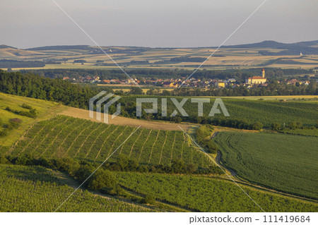 Vineyards under Palava,  Southern Moravia, Czech Republic 111419684