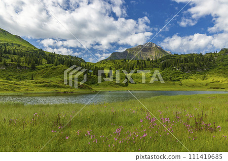Landscapes near Kalbelesee, Hochtann Mountain Pass, Warth, Vorarlberg, Austria 111419685
