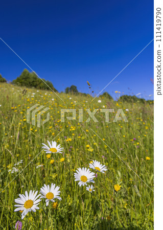 Typical Spring landscape in White Carpathians near Stary Hrozenkov, Southern Moravia, Czech Republic Typical Spring landscape in White Carpathians near Stary Hrozenkov, Southern Moravia, Czech Republic 111419790