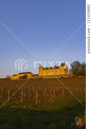 Chateau de Rully castle, Saone-et-Loire departement, Burgundy, France 111419862