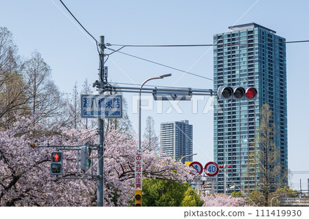 春天的源夜橋東詰十字路口 春天的源夜橋東詰十字路口 111419930
