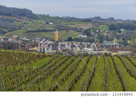 Vineyards with Arbois town, Department Jura, Franche-Comte, France 111419943