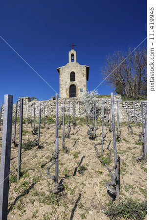 Grand cru vineyard and Chapel of Saint Christopher, Tain l'Hermitage, Rhone-Alpes, France 111419946