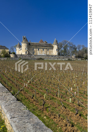 Chateau de Rully castle, Saone-et-Loire departement, Burgundy, France 111419947