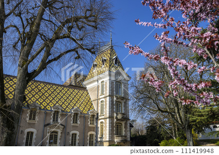Chateau Aloxe-Corton (castle), Burgundy, France 111419948