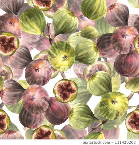 Ripe, juicy fruits of green, purple figs, whole fruits seamless pattern. Plant clipart for fabric, label, wallpaper, packaging textile. Hand drawn watercolor illustration. Isolated on white background 111420208