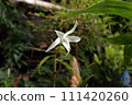 Sekkoku 111420260