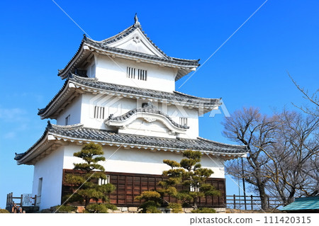 [香川縣] 冬天的丸龜城（現存天守閣和石牆名城） 111420315