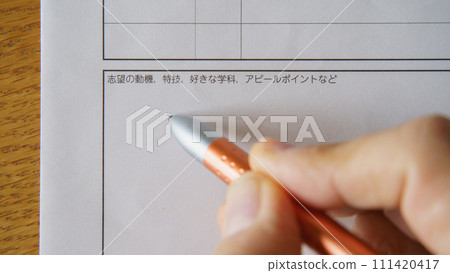 Resume/Aspiration column image 111420417