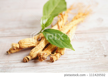 Ginseng roots and green leaf, organic nature healthy food. Ginseng roots and green leaf, organic nature healthy food. 111420502