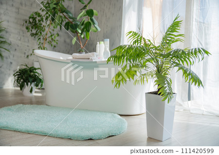 Modern luxury bathroom with tropical style garden decor and sunlit window. Front view of spacious gray bathroom with freestanding bathtub and fluffy rug on floor, copy space. Design, interior concept. 111420599