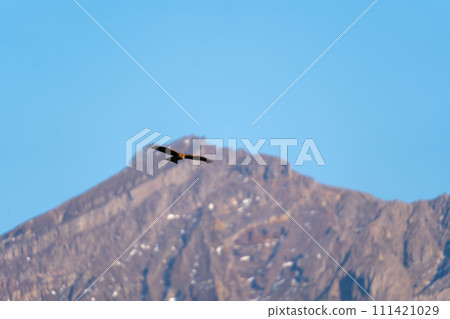 櫻島禦岳和貪美 111421029