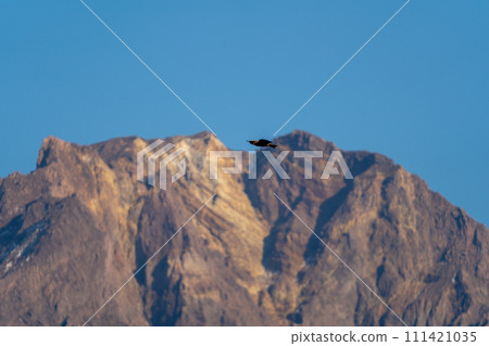 Sakurajima Mitake and Tonbi 111421035