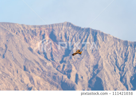 櫻島禦岳和貪美 111421038