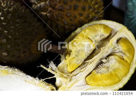 A close up photo of a Musang King durian, a spiky, oval-shaped fruit with a strong odor. A close up photo of a Musang King durian, a spiky, oval-shaped fruit with a strong odor. 111421054