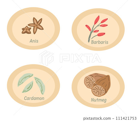 Spices stickers nutmeg cardamon and anis flat design 111421753
