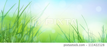 meadow. Blurred grass background. The radiance of the sun in the drops of dew on the young grass.  111422128