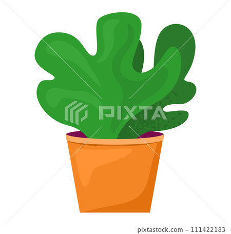 Green potted plant illustration. Lush leafy houseplant terracotta pot. Indoor gardening decor vector illustration 111422183