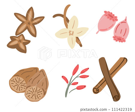 Brown spices barbaris cinnamon vanilla nutmeg 111422319