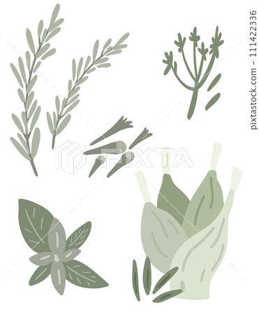 Green condiments basil fennel rosemary flat design set Green condiments basil fennel rosemary flat design set 111422336