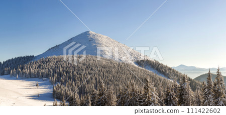 Beautiful winter panorama with fresh snow. Landscape with spruce pine trees, blue sky with sun light and high Carpathian mountains on background. Beautiful winter panorama with fresh snow. Landscape with spruce pine trees, blue sky with sun light and high Carpathian mountains on background. 111422602