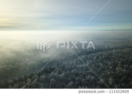 Aerial view of snow covered white forest with frozen trees in cold winter. Dense wild woodland in wintertime Aerial view of snow covered white forest with frozen trees in cold winter. Dense wild woodland in wintertime 111422609
