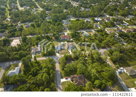 Aerial landscape view of suburban private houses between green palm trees in Florida quiet rural area 111422611
