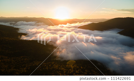 Aerial view of bright foggy morning over dark mountain forest trees at autumn sunrise. Beautiful scenery of wild woodland at dawn 111422691