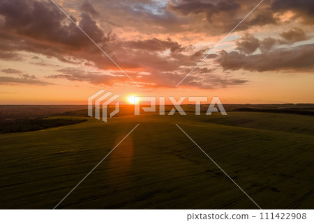 Aerial landscape view of yellow cultivated agricultural field with ripe wheat on vibrant summer evening Aerial landscape view of yellow cultivated agricultural field with ripe wheat on vibrant summer evening 111422908