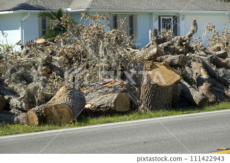 Piles of tree rubbish on road side for recovery truck pickup after hurricane in Florida residential area. Consequences of natural disaster Piles of tree rubbish on road side for recovery truck pickup after hurricane in Florida residential area. Consequences of natural disaster 111422943